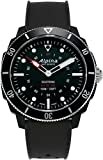 Alpina Watch AL-282LBB4V6