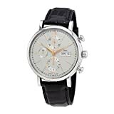IWC Portofino Chronograph IW391022