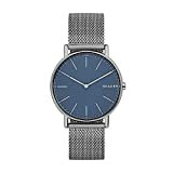 SKAGEN Herren Quarz Uhr mit Titan Armband SKW6420